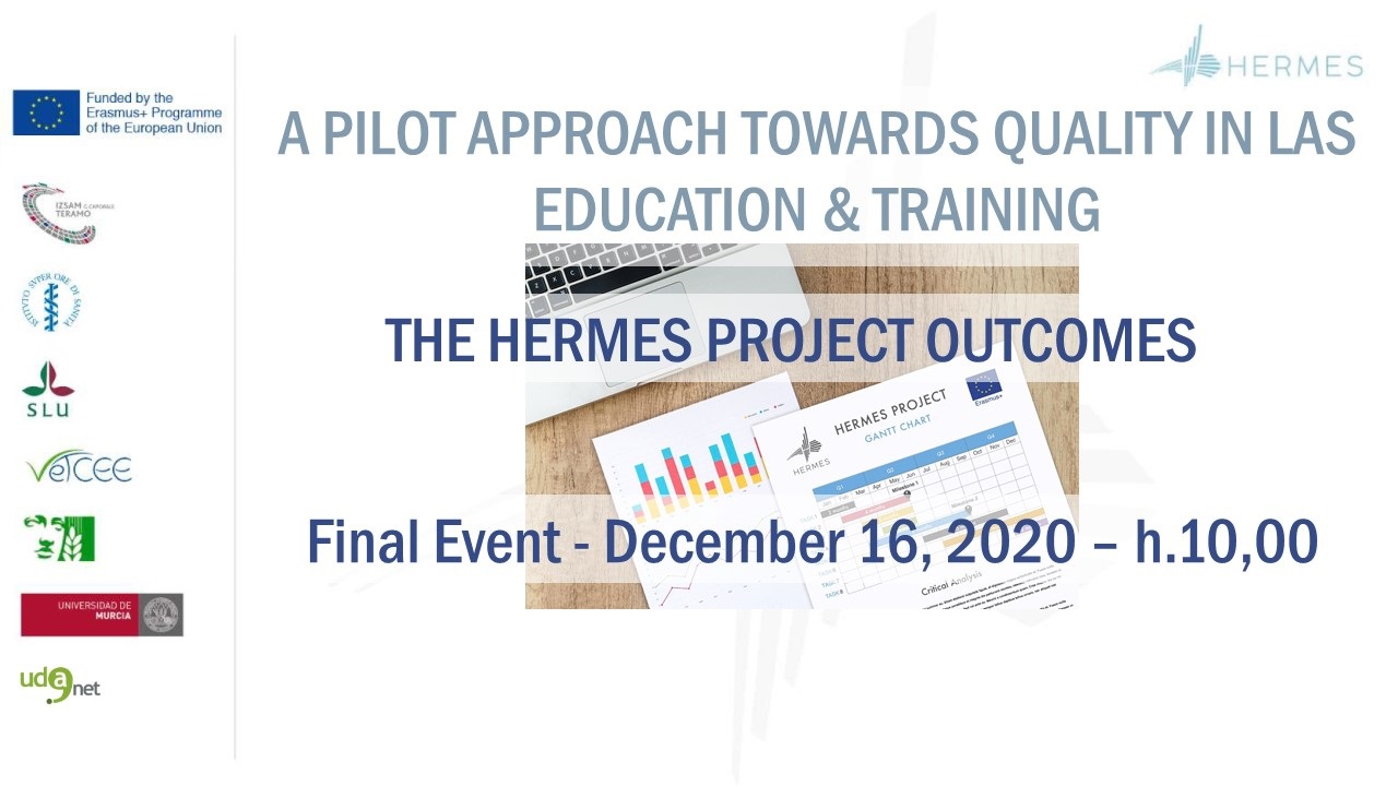 HERMES Final event 16 December, 2020